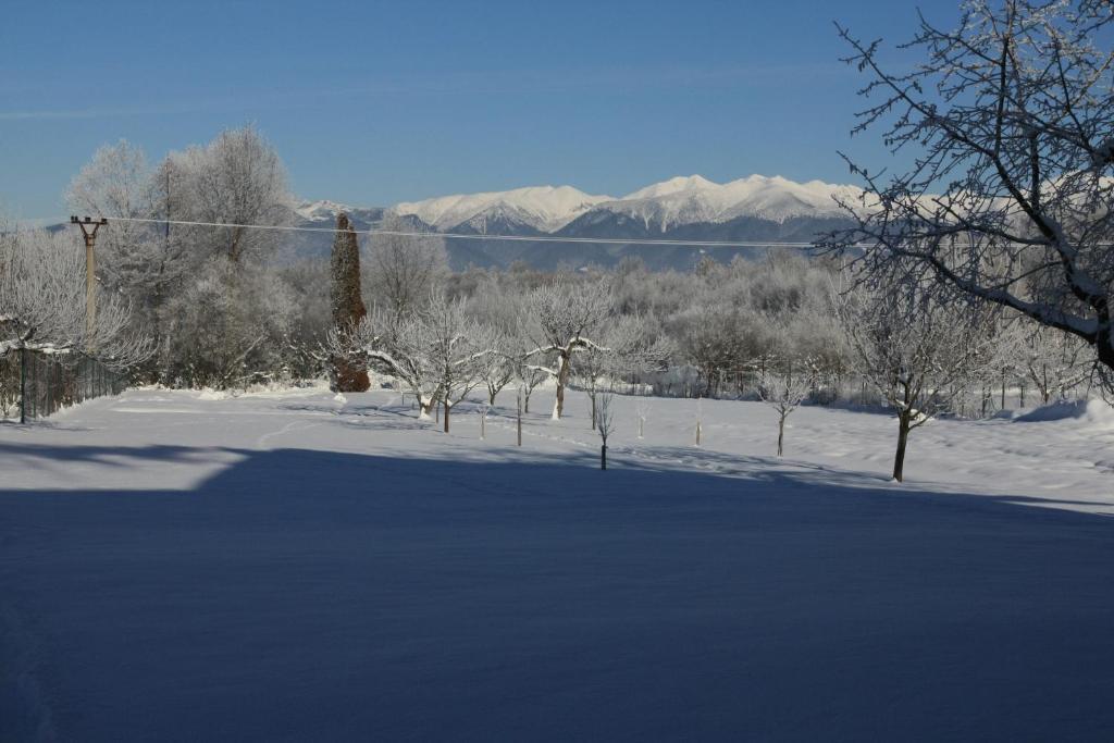 Skipension Jasna Pavčina Lehota Exterior foto